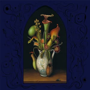 Perchance To Dream - John Zorn