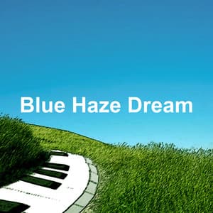 Blue Haze Dream - Jazz Classics