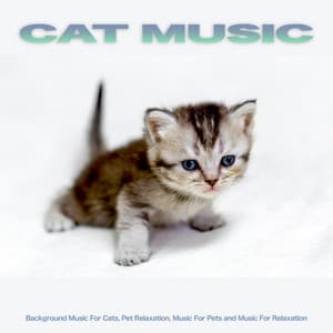 Cat Music: Background Music For Cats, Pet Relaxation, Music For Pets and Music For Relaxation - Cat Music Experience