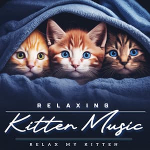 Relaxing Kitten Music - Relax My Kitten