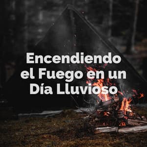 Encendiendo El Fuego En Un Día Lluvioso - Efectos especiales de lluvia del bosque