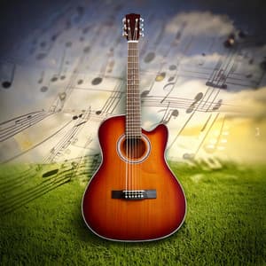 Study Harmony: Focus with Guitar Music - Some Acoustic Guitar Music