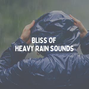 Bliss of Heavy Rain Sounds - The Rain Factory