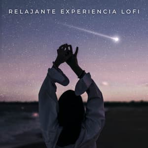 Relajante Experiencia Lofi - Musica Relajante
