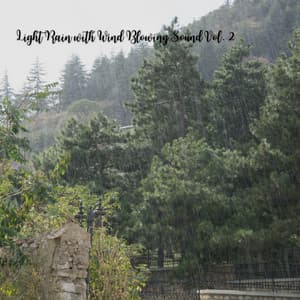 Light Rain with Wind Blowing Sound Vol. 2 - Rain In Spain