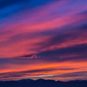 Night Calm Serenade: Gentle Tunes for Restful Evenings - Elevator Music Playlist