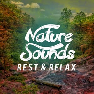 Nature Sounds: Rest & Relax - Rest & Relax Nature Sounds Artists