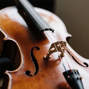 Bedtime Orchestra Music Created for Cats - Miguel Johnson