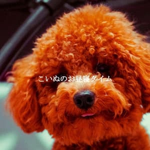 こいぬのお昼寝タイム - Chicago Jazz Lounge