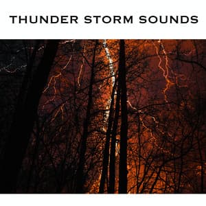 Thunder Storm Sounds - Thunder Storms & Rain Sounds