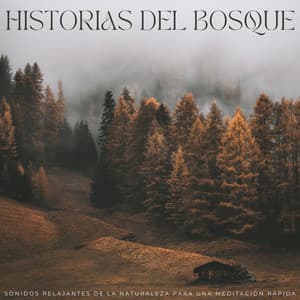 Historias Del Bosque: Sonidos Relajantes De La Naturaleza Para Una Meditación Rápida - Rehabilitación de la naturaleza
