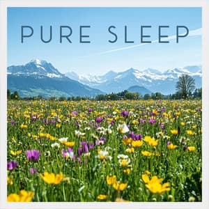 Meadows in Stillness - Airplane Cabin Sound for Baby Sleep