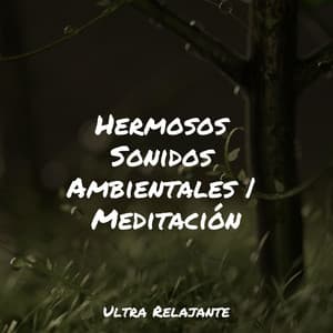 Hermosos Sonidos Ambientales | Meditación - Lluvia
