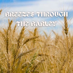 Breezes through the Barley - Two Seconds to Wild West