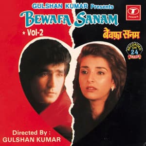 Bewafa Sanam Vol-2 - Anuradha Paudwal