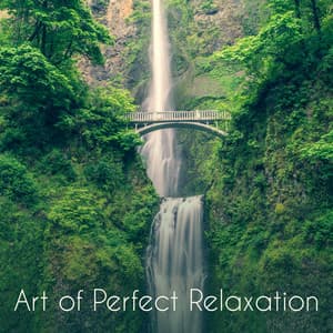 Art of Perfect Relaxation: Oasis of Harmony, Awareness of Nature, Zen Rest, Calming Project - Odyssey for Relax Music Universe