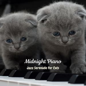 Midnight Piano: Jazz Serenade for Cats - Relaxing Piano Music Cool