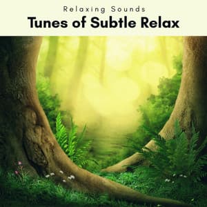 2 0 2 2 Tunes of Subtle Relax - Astral Noise