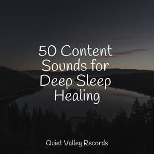 50 Content Sounds for Deep Sleep Healing - Study Zone