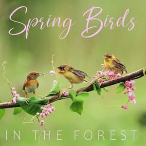 Spring Birds in the Forest - Zen Forest Collection