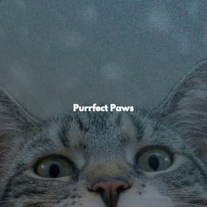 Purrfect Paws - Relaxing Restaurant Music Quartets