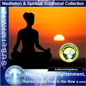 Subliminal - Meditation, Enlightenment, Karmic Good, Live In The Now & More - Brain Entrainment Mindware