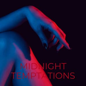 Midnight Temptations - Making Love Music Ensemble