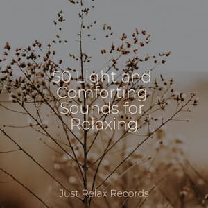50 Light and Comforting Sounds for Relaxing - Meditation Relaxation Club
