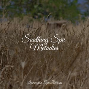Soothing Spa Melodies - Spa & Spa