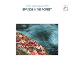 Spring in the Forest — Xiaogang Ye's Music Collection - Xiaogang Ye