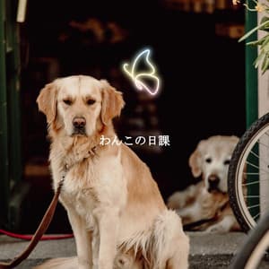 わんこの日課 - Musica per Cucinare