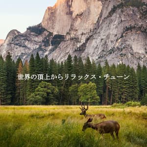 世界の頂上からリラックス・チューン - Separation Anxiety Dog Music