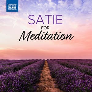 Satie For Meditation - Erik Satie
