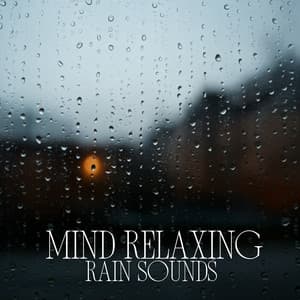 Mind Relaxing Rain Sounds - 24H Rain Sounds