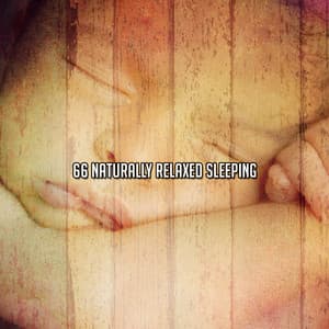 66 Naturally Relaxed Sleeping - Oasis de Détente et Relaxation