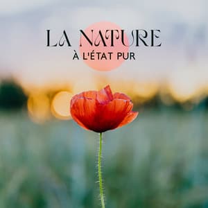 La nature à l'état pur: Sons de la nature pour dormir, la détente & méditation - Relaxation mentale