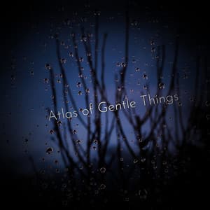 Atlas of Gentle Things - Lumenis