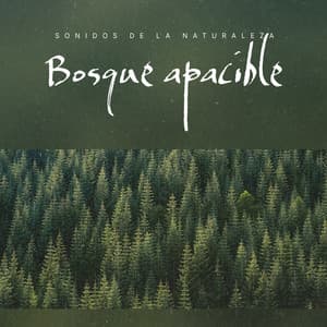 Bosque apacible - Sonidos de la Naturaleza