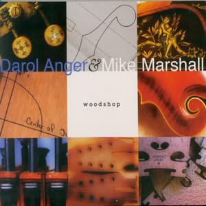 Woodshop - Darol Anger