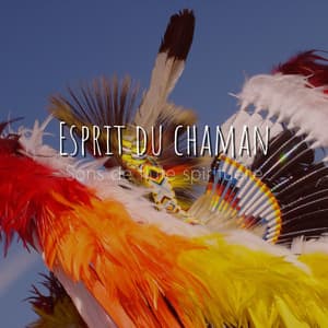 Esprit du chaman - Sons de flûte spirituelle - American Native