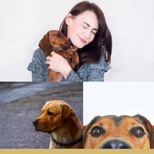 Morning Walks - Chill My Pooch