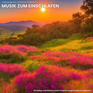 Musik zum Einschlafen für Babys und Mütter sowie Entspannungsmusik zum Relaxen - Entspannungsmusik