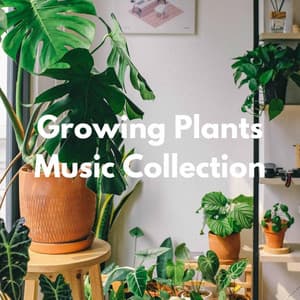 Growing Plants Music Collection - Sunday Brunch Music