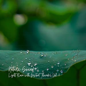 Nature Sound: Light Rain with Distant Thunder Vol. 2 - Rainy Day Jazz