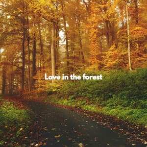 Love in the forest - Cafe Music Japan