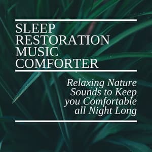 Sleep Restoration Music Comforter - Relaxing Nature Sounds to Keep you Comfortable all Night Long - REM Sleep Inducing