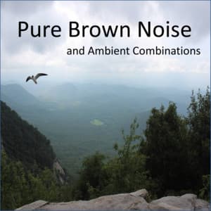 Pure Brown Noise and Ambient Combinations, including Clothes Dryers, Waterfalls, Crickets - Meditation
