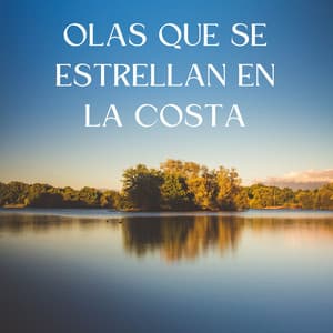 Olas Que Se Estrellan En La Costa - Las Olas Del Mar