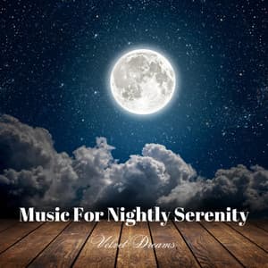 Music For Nightly Serenity: Velvet Dreams - Silent Night Music