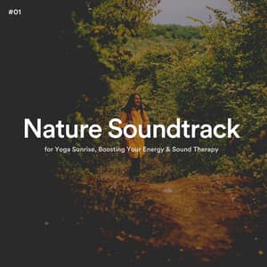 #01 Nature Soundtrack for Yoga Sunrise, Boosting Your Energy & Sound Therapy - The Nature Soundscapes